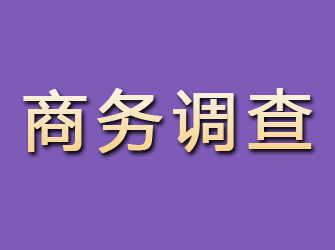 饶河商务调查